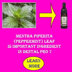 Mentha Piperita (Peppermint) Leaf